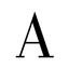 Giorgio armani