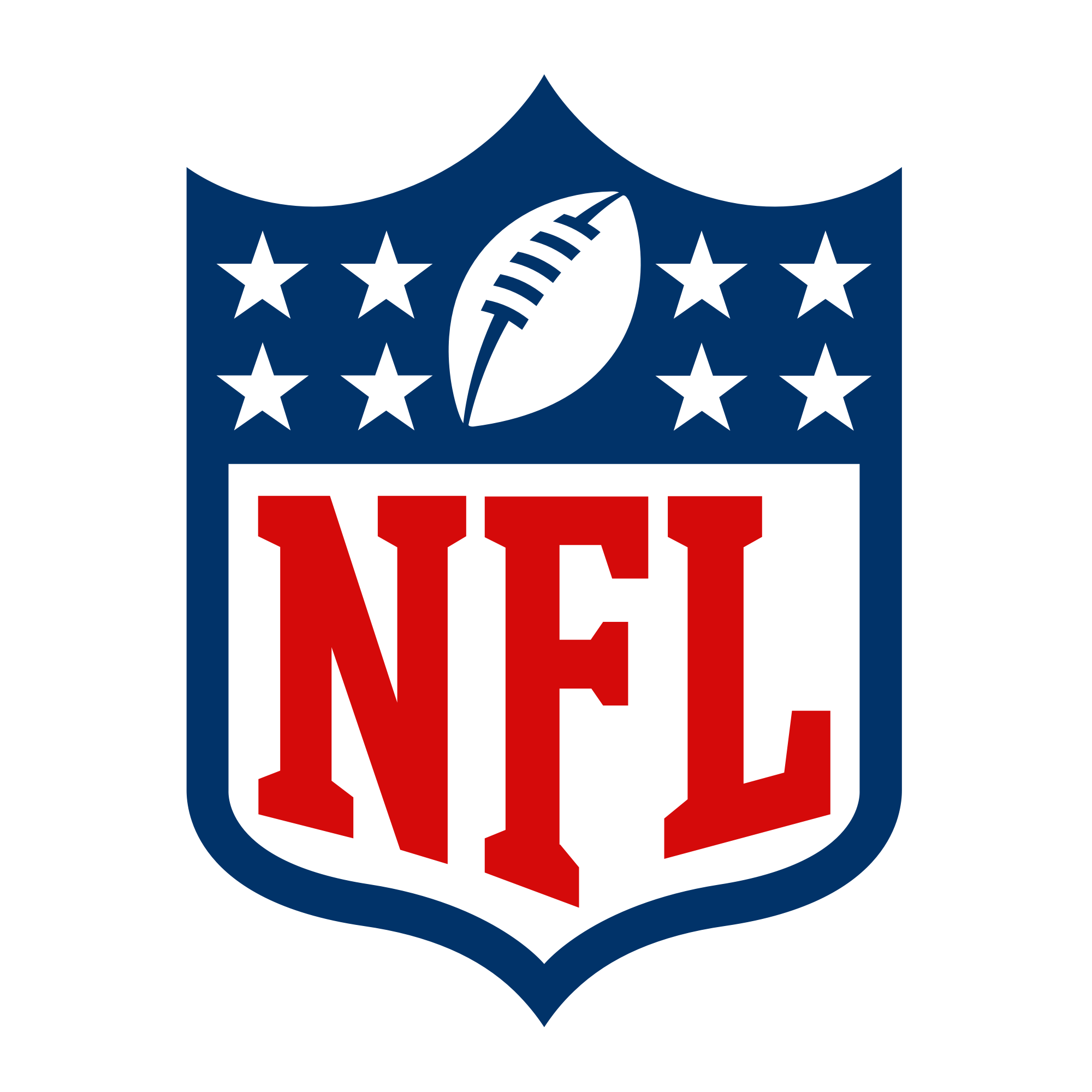 National football league (nfl) ICON