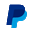 PayPal ICON