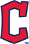 Major league baseball